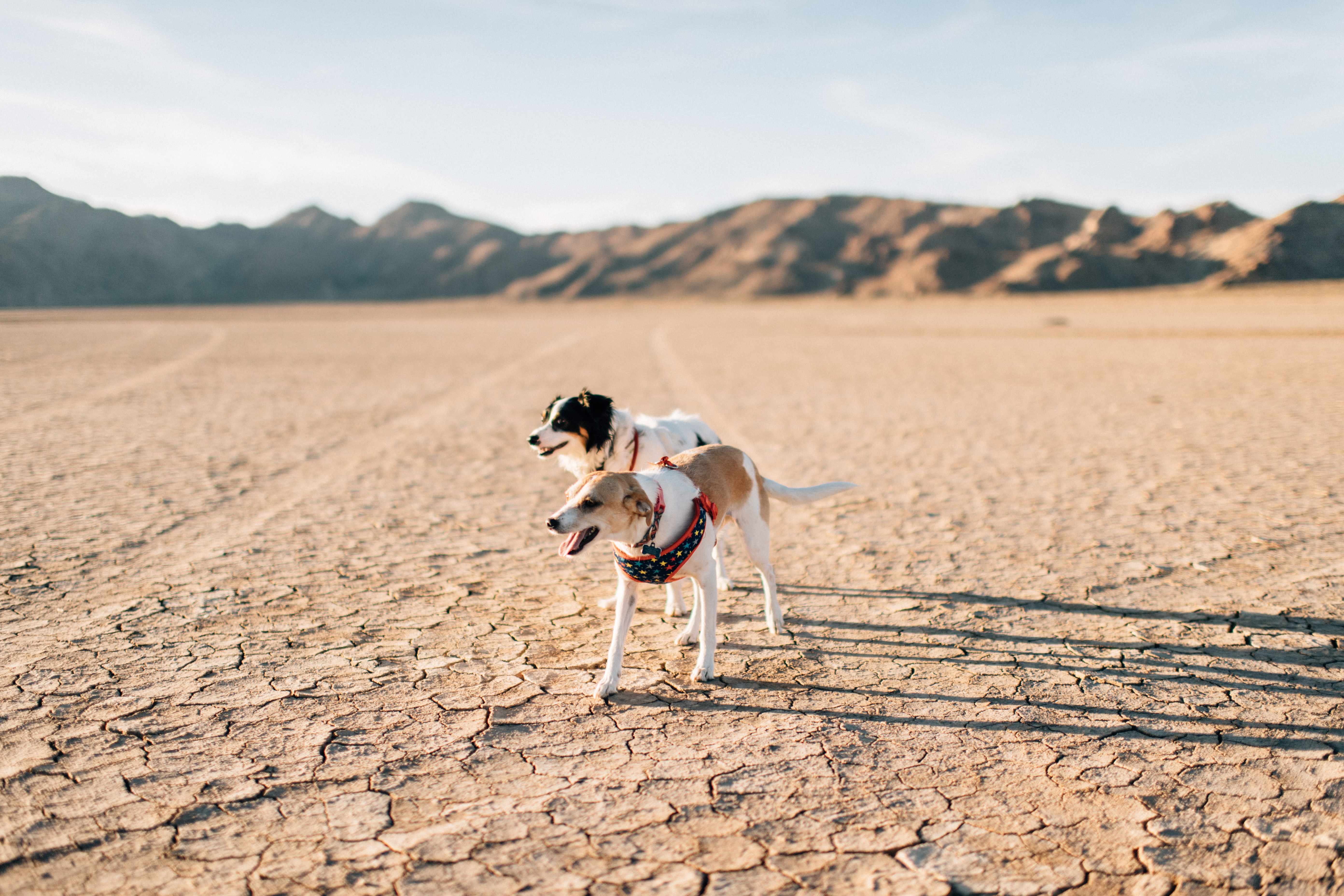 Dry Lake Bed-10.jpg