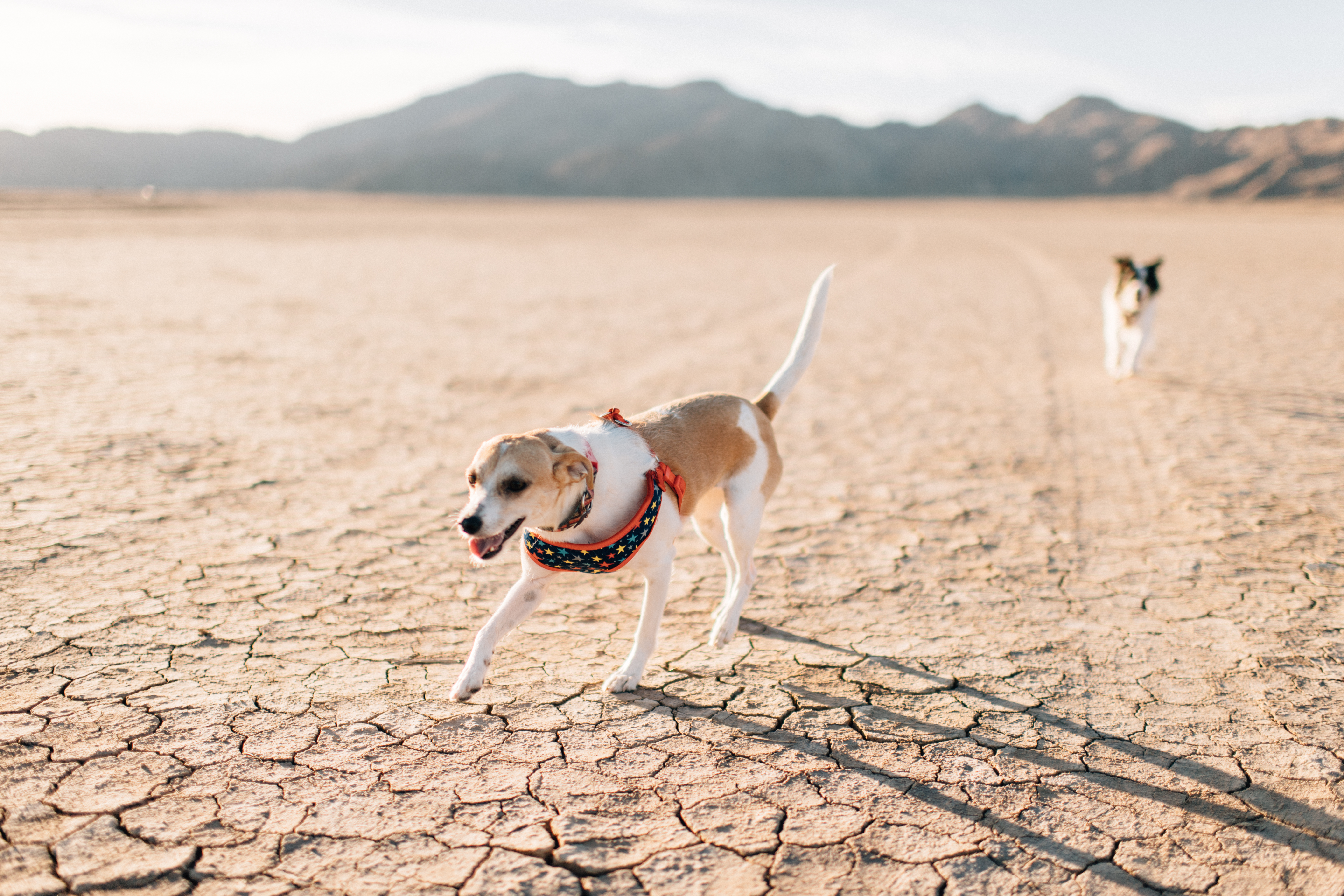 Dry Lake Bed-8.jpg