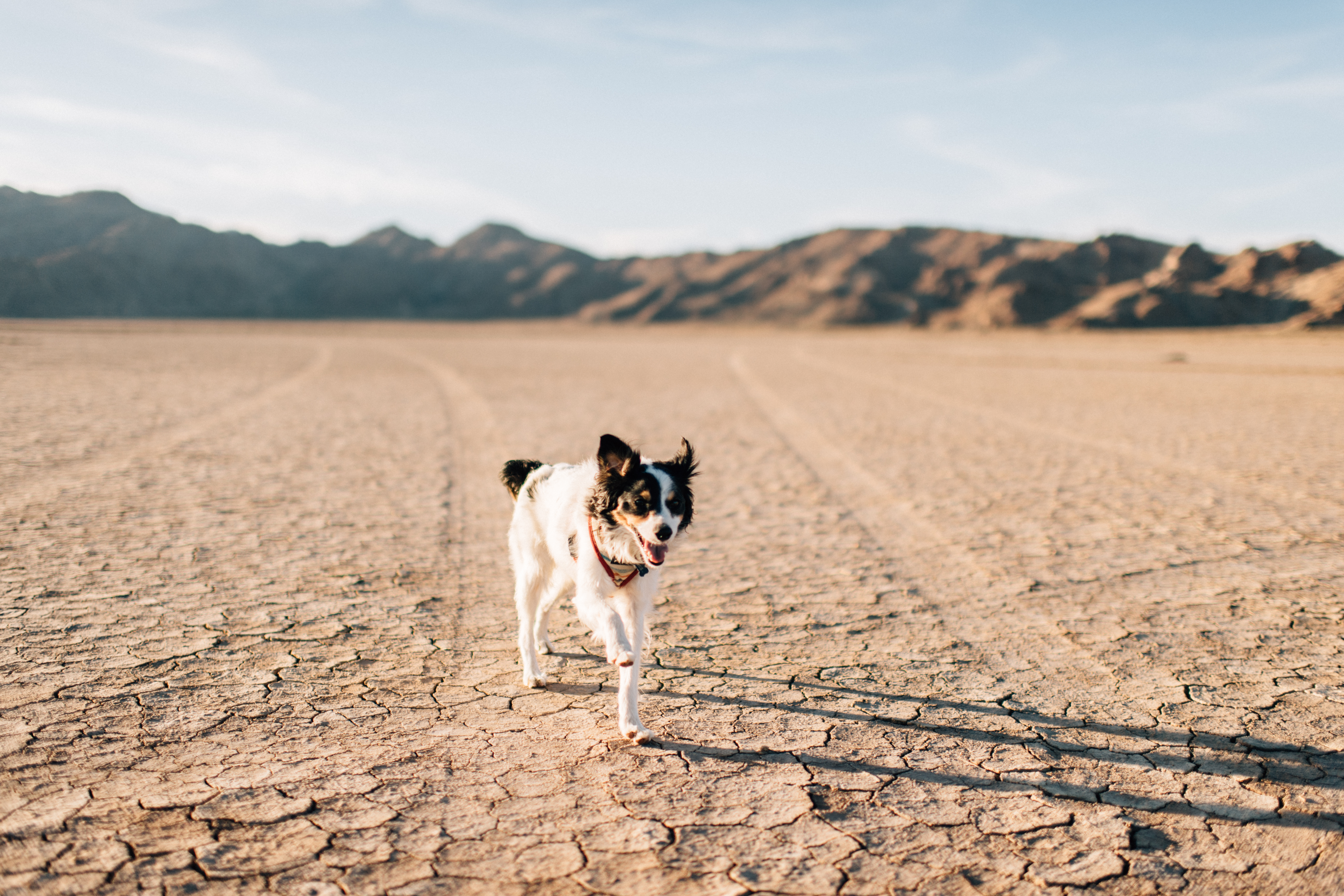 Dry Lake Bed-9.jpg